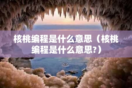核桃编程是什么意思（核桃编程是什么意思?）