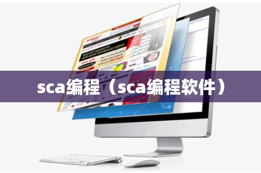 sca编程（sca编程软件）