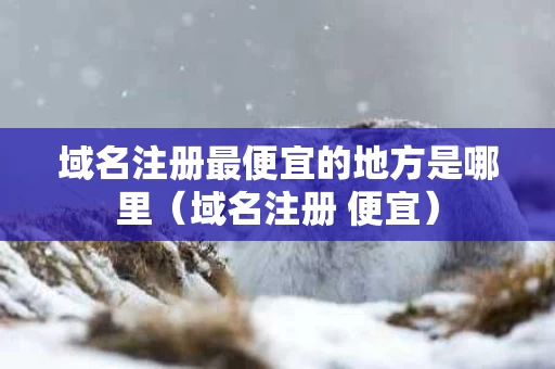 域名注册最便宜的地方是哪里（域名注册 便宜）