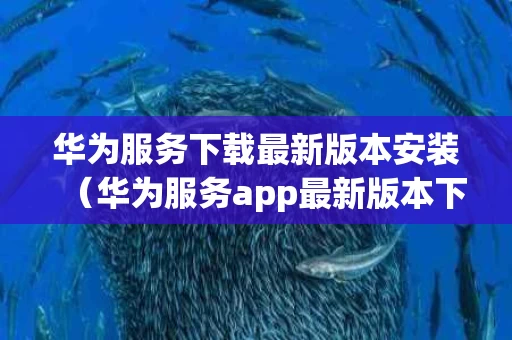 华为服务下载最新版本安装（华为服务app最新版本下载）