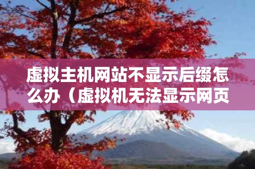 虚拟主机网站不显示后缀怎么办（虚拟机无法显示网页）