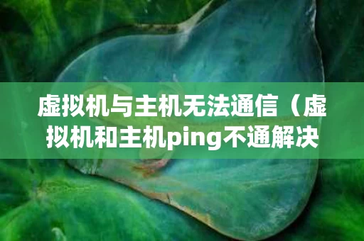 虚拟机与主机无法通信（虚拟机和主机ping不通解决办法）