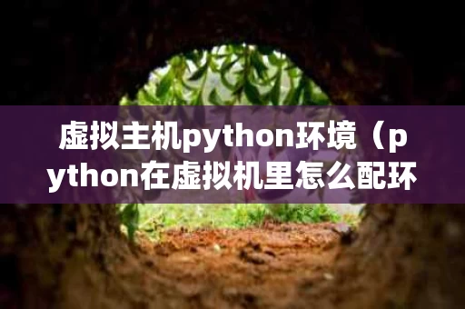 虚拟主机python环境（python在虚拟机里怎么配环境变量）