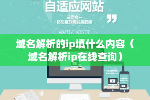 域名解析的ip填什么内容（域名解析ip在线查询）