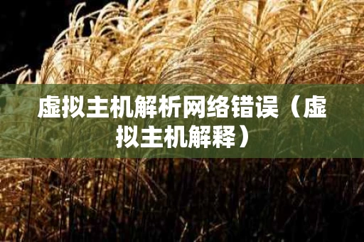 虚拟主机解析网络错误（虚拟主机解释）