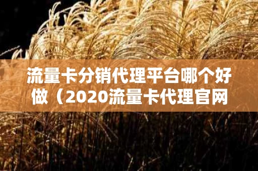 流量卡分销代理平台哪个好做（2020流量卡代理官网）