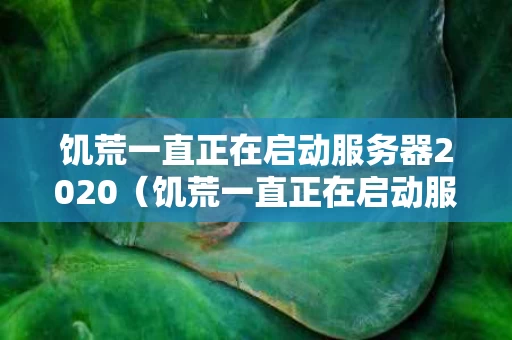 饥荒一直正在启动服务器2020（饥荒一直正在启动服务器）