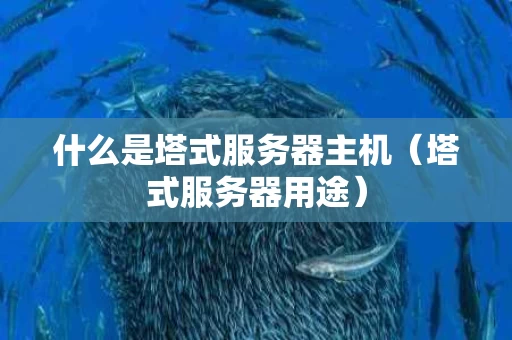 什么是塔式服务器主机（塔式服务器用途）