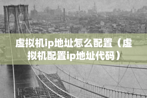 虚拟机ip地址怎么配置（虚拟机配置ip地址代码）