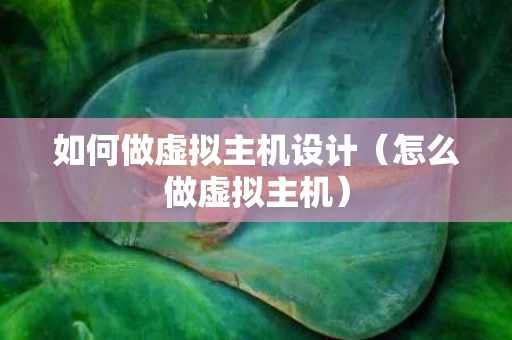 如何做虚拟主机设计（怎么做虚拟主机）