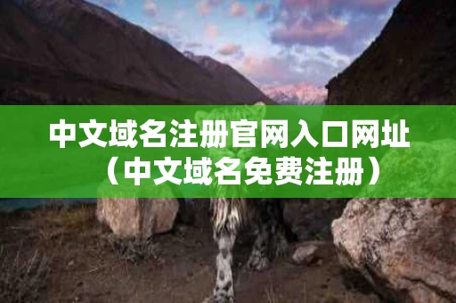 中文域名注册官网入口网址（中文域名免费注册）