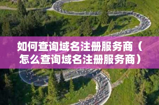 如何查询域名注册服务商（怎么查询域名注册服务商）