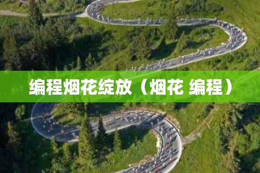 编程烟花绽放（烟花 编程）