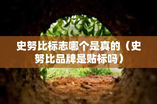 史努比标志哪个是真的（史努比品牌是贴标吗）