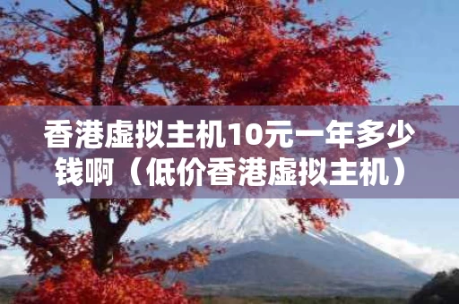 香港虚拟主机10元一年多少钱啊（低价香港虚拟主机）