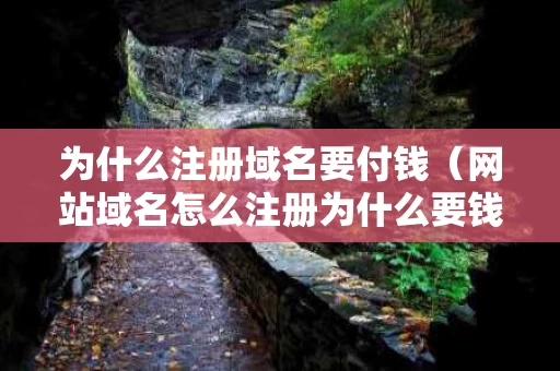为什么注册域名要付钱（网站域名怎么注册为什么要钱）
