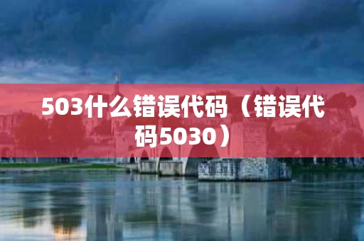 503什么错误代码（错误代码5030）