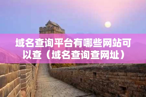 域名查询平台有哪些网站可以查（域名查询查网址）