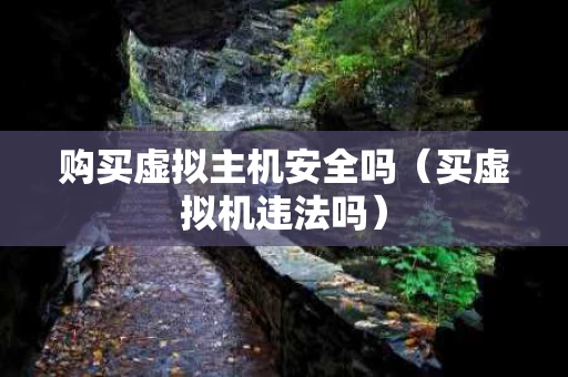 购买虚拟主机安全吗（买虚拟机违法吗）