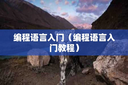 编程语言入门（编程语言入门教程）