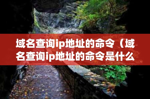 域名查询ip地址的命令（域名查询ip地址的命令是什么）