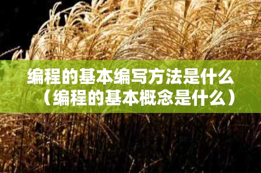 编程的基本编写方法是什么（编程的基本概念是什么）