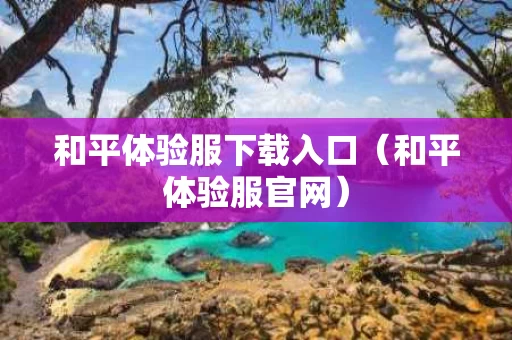 和平体验服下载入口（和平体验服官网）