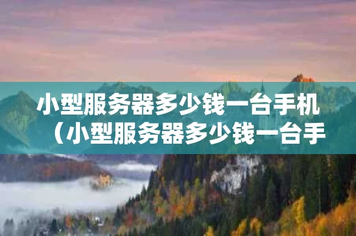 小型服务器多少钱一台手机（小型服务器多少钱一台手机啊）
