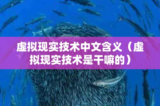 虚拟现实技术中文含义（虚拟现实技术是干嘛的）