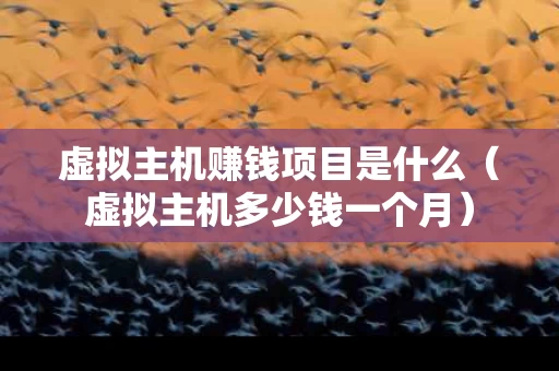 虚拟主机赚钱项目是什么（虚拟主机多少钱一个月）