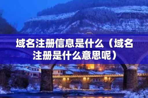 域名注册信息是什么（域名注册是什么意思呢）