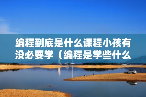 编程到底是什么课程小孩有没必要学（编程是学些什么东西幼儿）