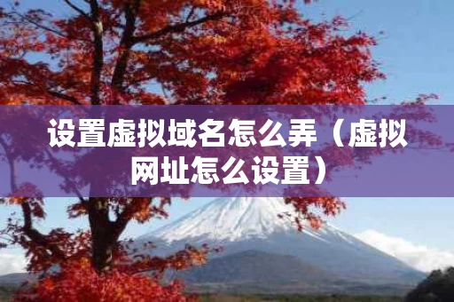 设置虚拟域名怎么弄（虚拟网址怎么设置）