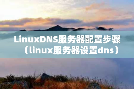 LinuxDNS服务器配置步骤（linux服务器设置dns）