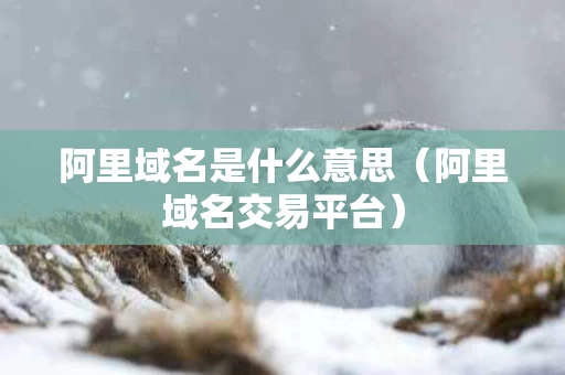 阿里域名是什么意思（阿里域名交易平台）