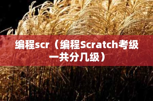 编程scr（编程Scratch考级一共分几级）