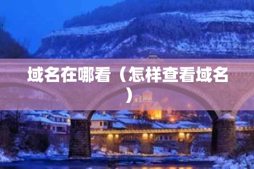 域名在哪看（怎样查看域名）