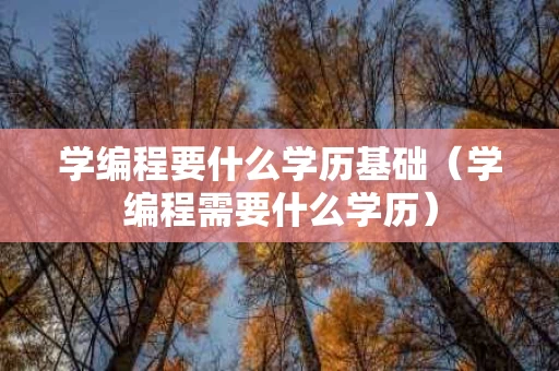 学编程要什么学历基础（学编程需要什么学历）