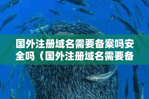 国外注册域名需要备案吗安全吗（国外注册域名需要备案吗安全吗知乎）