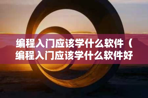 编程入门应该学什么软件（编程入门应该学什么软件好）