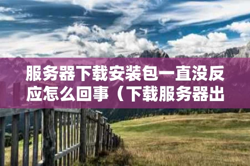 服务器下载安装包一直没反应怎么回事（下载服务器出错怎么办）