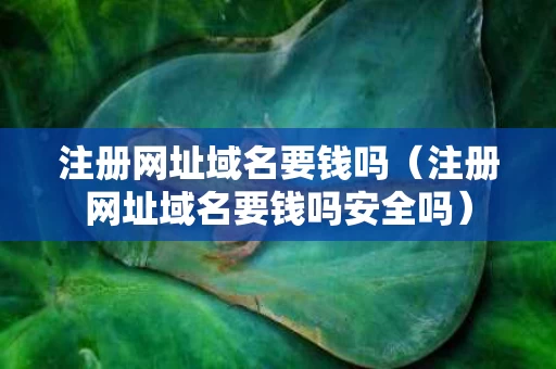 注册网址域名要钱吗（注册网址域名要钱吗安全吗）