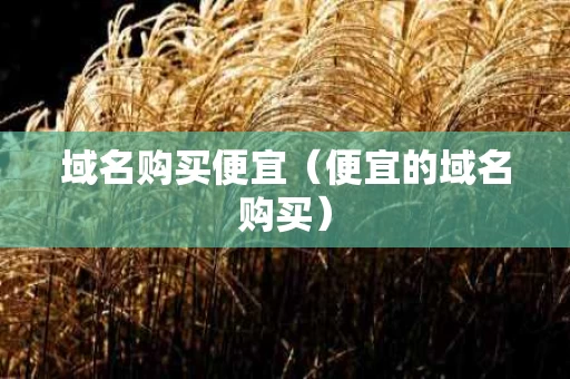 域名购买便宜（便宜的域名购买）
