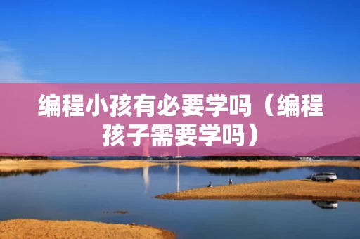 编程小孩有必要学吗（编程孩子需要学吗）