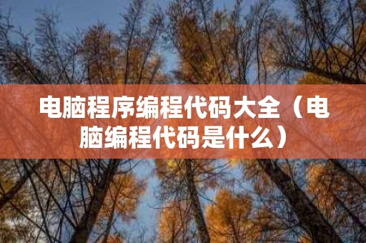 电脑程序编程代码大全（电脑编程代码是什么）