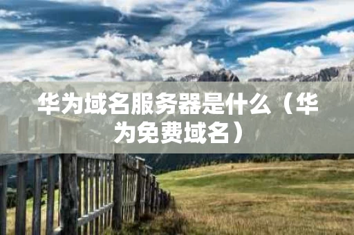 华为域名服务器是什么（华为免费域名）