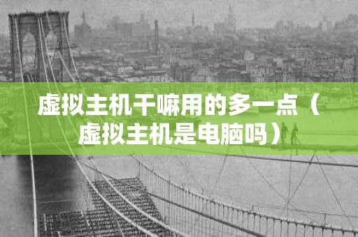 虚拟主机干嘛用的多一点（虚拟主机是电脑吗）