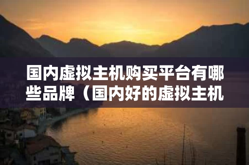 国内虚拟主机购买平台有哪些品牌（国内好的虚拟主机品牌）