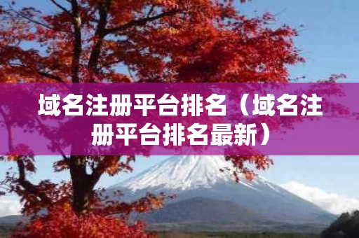 域名注册平台排名（域名注册平台排名最新）
