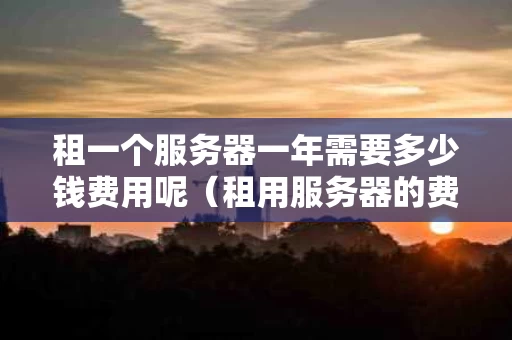 租一个服务器一年需要多少钱费用呢（租用服务器的费用一年多少）